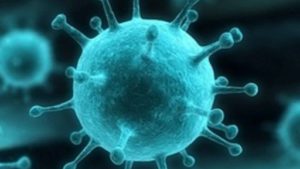 Сибирские учёные разработали новое лекарство от гриппа