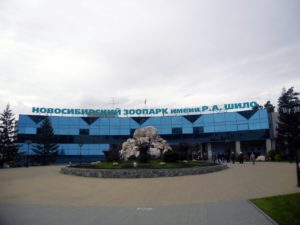 В Новосибирске собираются создать новую платную парковку