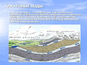 Областные власти выделят средства на создание карты грунтовых вод Бердска