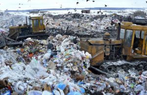 В Новосибирске вновь стартует скандальная «мусорная» концессия