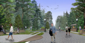 Одобрен проект реконструкции Заельцовского парка