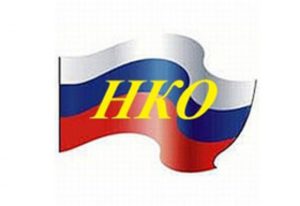 Власти Новосибирской области распределили гранты между некоммерческими организациями