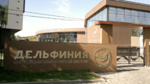 В Новосибирском дельфинарии – санитарный отпуск