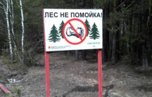 Охранять новосибирские леса будут казаки