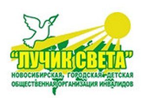 Новосибирских детей-инвалидов собрали в школу с помощью благотворителей