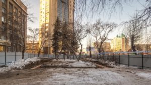 Новосибирская администрация хочет оштрафовать предприятие за вырубку деревьев